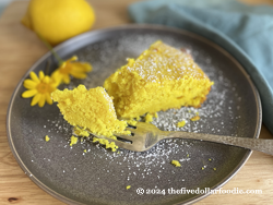 Luscious Lemon Cake with Turmeric