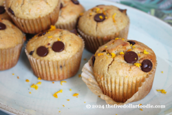 Orange Chocolate Chip Muffins