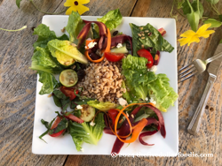 Summer Salad with Lemon Farro